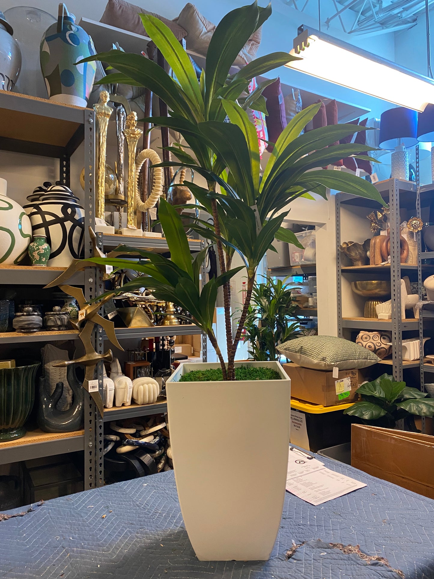 13480 - Mutli Faux Dracaena