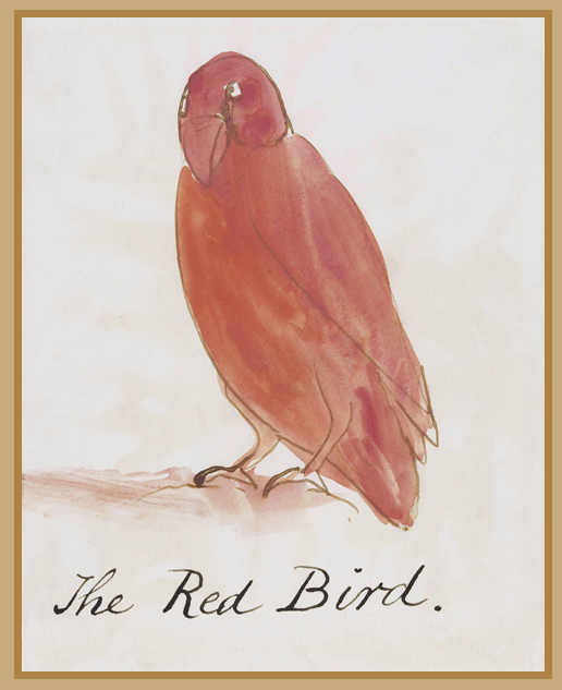 10777 - The Red Bird