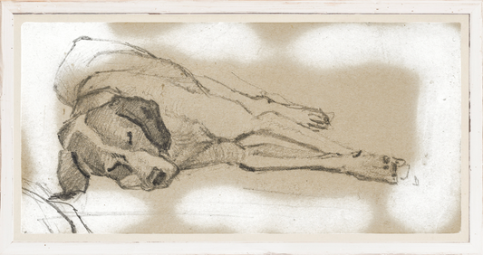 Study of a Sleeping Dog