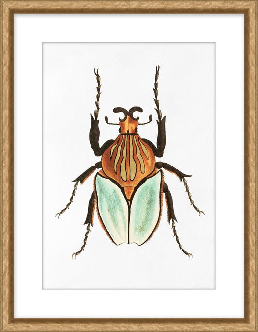 Contemporary Gallery - Beetle 1
